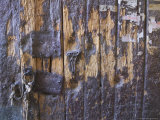Wood Gate in Sakya Monastery  Tibet  China