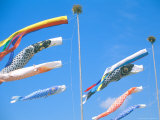 Children's Day Koinobori (Carp Kite)  Shizuoka  Mt Fuji  Japan