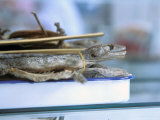 Flying Lizards  Medicines For Sale  Yichang  China