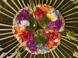 Spiritual Hindu Offerings of Flowers and Palms  Ubud  Bali  Indonesia