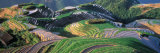 Landscape of Rice Terraces  China