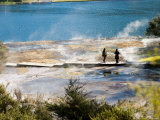 Tourists and Thermal Terraces  Orakei Korako Thermal Area  North Island  New Zealand