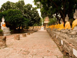 Buddha at Ayuthaya  Siam  Thailand
