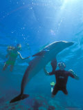 Caribbean Sea  Curacao
