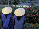 Women in Straw Hats and Flowers  Ho Chi Minh City  Saigon  Vietnam
