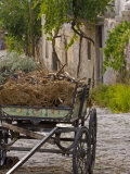 Wagon in Street  Cappadocia  Turkey