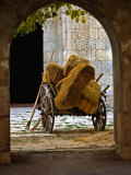 Archway Surrounding Ancient Hay Wagon  Sarai  Caravan  Turkey