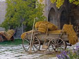 Hay Wagon with Ancient Tools  Caravanserai  Turkey