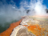 Champagne Pool  Waiotapu Thermal Wonderland near Rotorua  New Zealand
