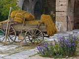 Hay Wagon with Ancient Tools  Caravanserai  Turkey