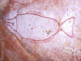 Aboriginal Paintings  Kakadu  Nourlangie  Australia