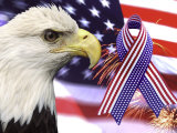 Eagle  Fireworks  Ribbon  and Flag