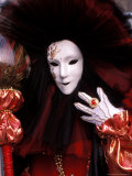 Costume and Mask  Venice Carnival  Italy