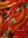 Chili Peppers  Siracusa  Italy