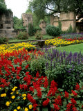 Flower Gardens in Old Town by Rhine River  St Kastor Church  Koblenz  Germany