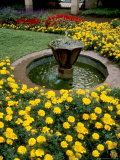 Flower Gardens in Old Town by Rhine River  St Kastor Church  Koblenz  Germany