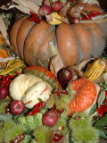 Autumn Display in La Palma Hotel  Lake Maggiore  Stresa  Italy