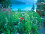 Emerald Lake  Yoho National Park  British Columbia