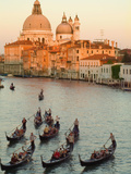 Sunset View of Gondolas in the Grand Canal and the Santa Maria Della Salute  Venice  Italy