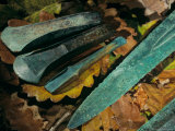 Tools  Axes and Swords  Sky Disk  Bronze Age  Germany