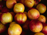 Plums at an Outdoor Market  Nice  France