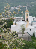 Town View  Barano d'Ischia  Ischia  Bay of Naples  Campania  Italy