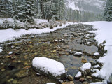 Cameron Creek  Wateron Lakes National Park  Alberta  Canada