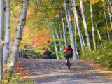 Mountain Biker on Forest Road Near Copper Harbor  Michigan  USA