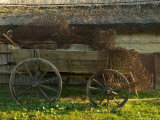 Carriage  Danube Delta  Romania
