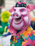 Fasnacht Carnival  Fasnacht Costume  Basel  Switzerland