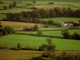 View of Farmlands from Glastonbury Tor  Glastonbury  Somerset  England
