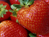 Ripe Strawberries