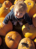 Young Boy Searches the Pumpkin Patch at Halloween
