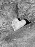 Heart Shaped Rock  Sradled in Larger Rock