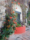 Grounds and Buildings of Historic La Valenciana Mine  Guanajuato State  Mexico