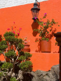 Colorful Wall with Lantern and Potted Plants  Guanajuato  Mexico