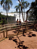 Tourists and Palm Tree Shadows  Iguassu Falls  Argentina