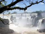 View of Iguassu Falls and Jungle  Argentina