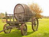 Juanico Winery  Uruguay
