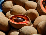 Sapote Fruit For Sale on the Streets of Guatemala City  Guatemala