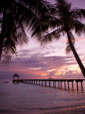 Le Maitai Dream Fakarava Resort  Fakarava  Tuamotus  French Polynesia