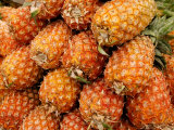 Pineapple in Market near Lake Atitlan  Solola  Western Highlands  Guatemala