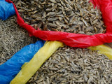 Sacks of Dried Fish from Lake Atitlan  Solola  Western Highlands  Guatemala