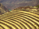 Sacred Valley of the Incas  Pisac  Peru