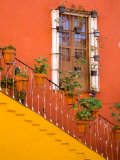 Colorful Stairs and House with Potted Plants  Guanajuato  Mexico