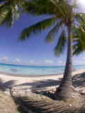 Beach at Le Maitai Dream Fakarava  Fakarava  Tuamotus  French Polynesia