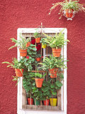 House Detail  Guadalajara  Mexico