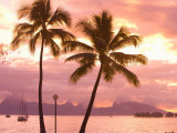 Sunset over Moorea  near Papeete  Tahiti Nui  Society Islands  French Polynesia  South Pacific