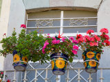 Colorful Potted Flowers on Balcony  Guanajuato  Mexico