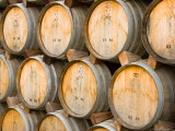 Oak Barrels in Winery  Sonoma Valley  California  USA